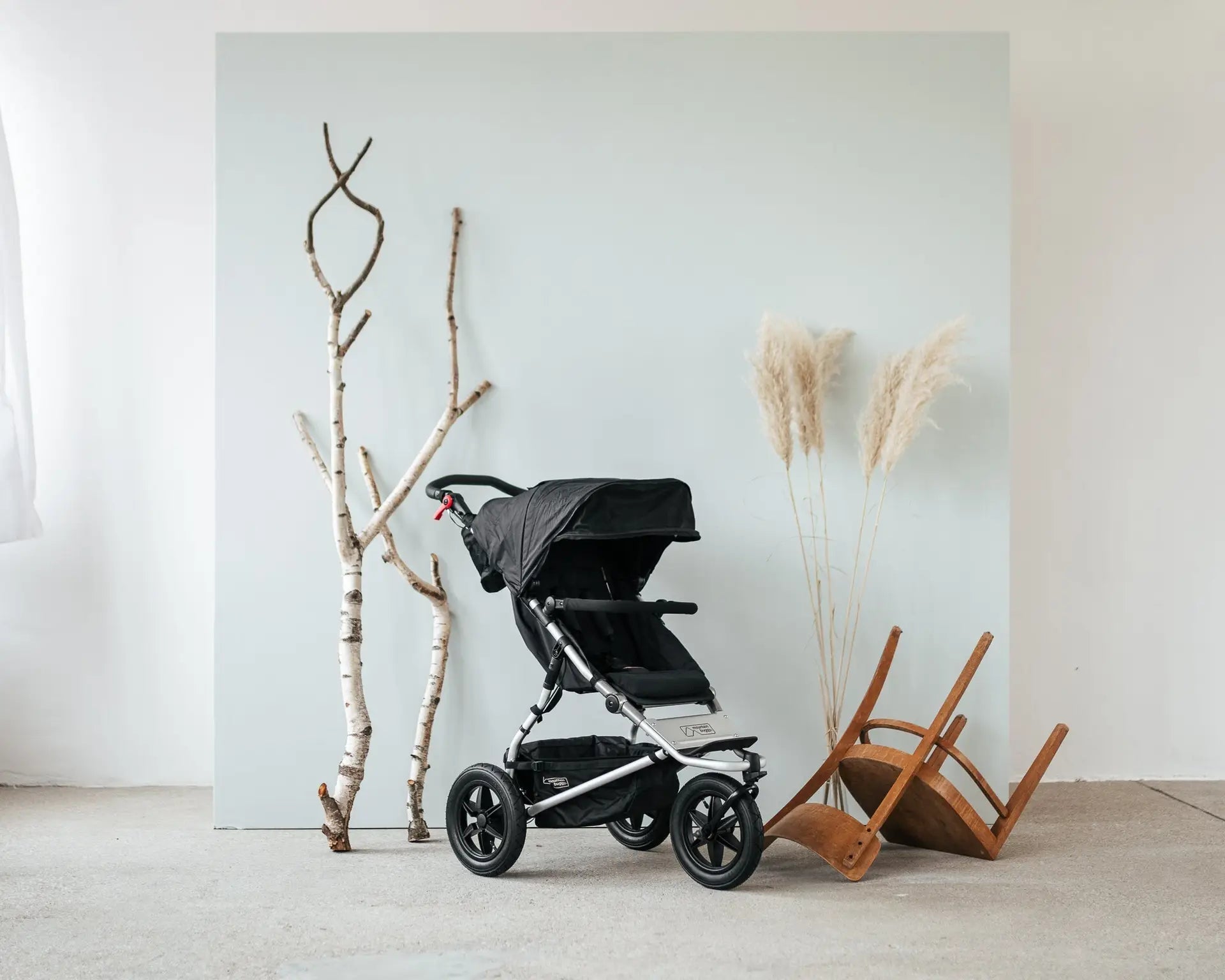 Face to face mountain buggy sales