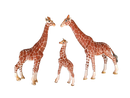 Schleich Tiere Bundle Giraffenfamilie 3 Teile Giraffen Figuren