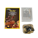 National Geographic Real Bug Dig Kit Ausgrabungsset