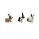 Schleich Tiere Bundle 5x Kaninchen Figuren