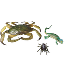 Bundle Tiere Set von 3 Krabbe Chamäleon Spinne