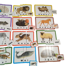 Ravensburger Erstes Lesen – Mit Tieren durchs ABC Lernspiel 24444-7