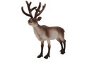 Schleich Tiere Bundle Waldtiere Rentier Rehe Kitz 4 Teile Tierfiguren