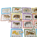 Ravensburger Erstes Lesen – Mit Tieren durchs ABC Lernspiel 24444-7
