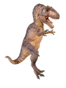 Schleich Tiere Tyrannosaurus Rex Dinosaurier Figur