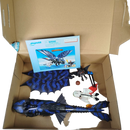 Playmobil Dragons Ohnezahn & Hicks 70037 Figuren-Set mit Zubehör