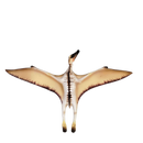 Schleich Tiere Quetzalcoatlus 14518 Dino Figur
