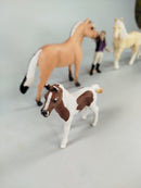 Schleich Bundle Reiterhof Set von 5 Pferde Figuren