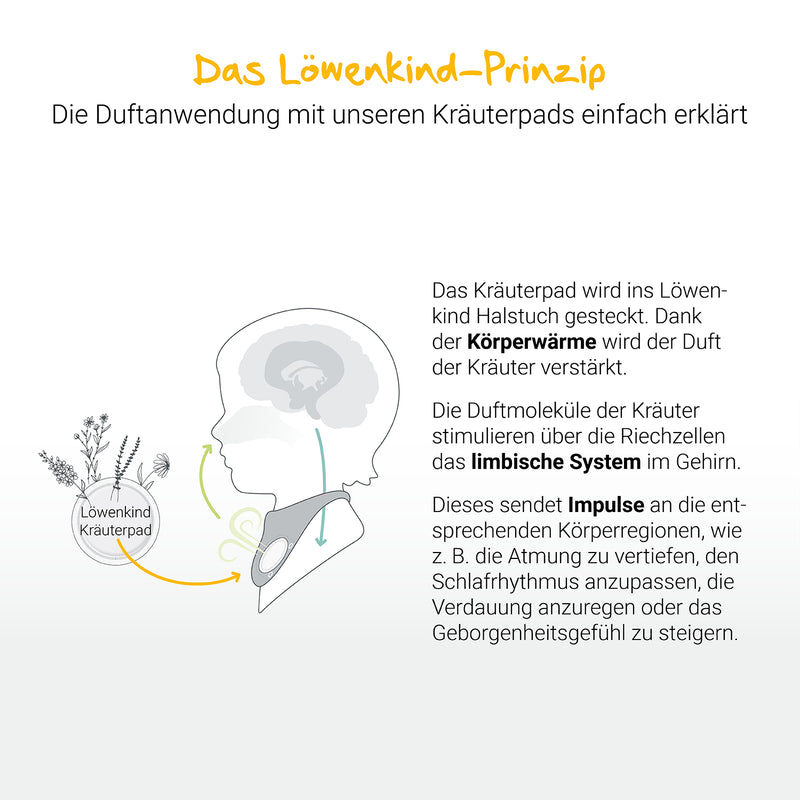 Löwenkind Zappelzwerg 10er Nachfüllpackung