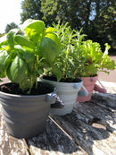 SCRUNCH – FALTBARER EIMER & SCHAUFEL (DIVERSE FARBEN)