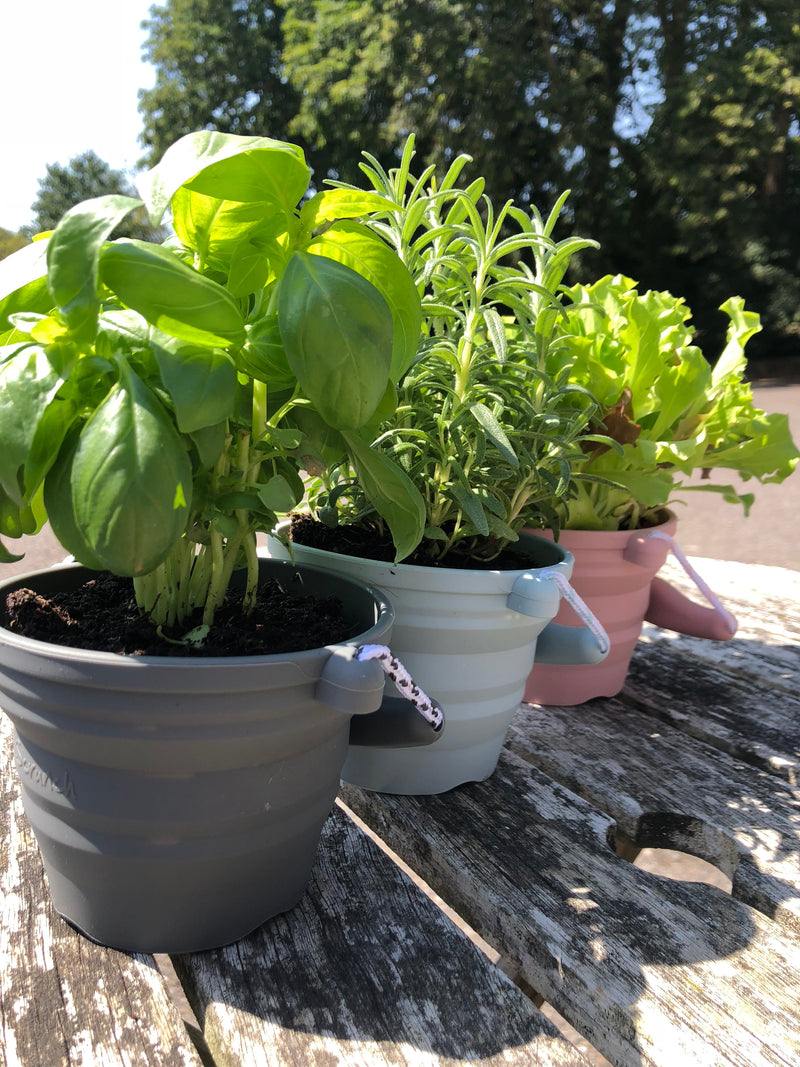 SCRUNCH – FALTBARER EIMER & SCHAUFEL (DIVERSE FARBEN)