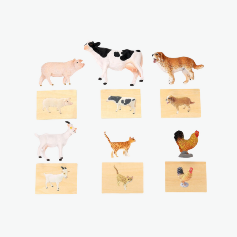 Animal Language Game Set