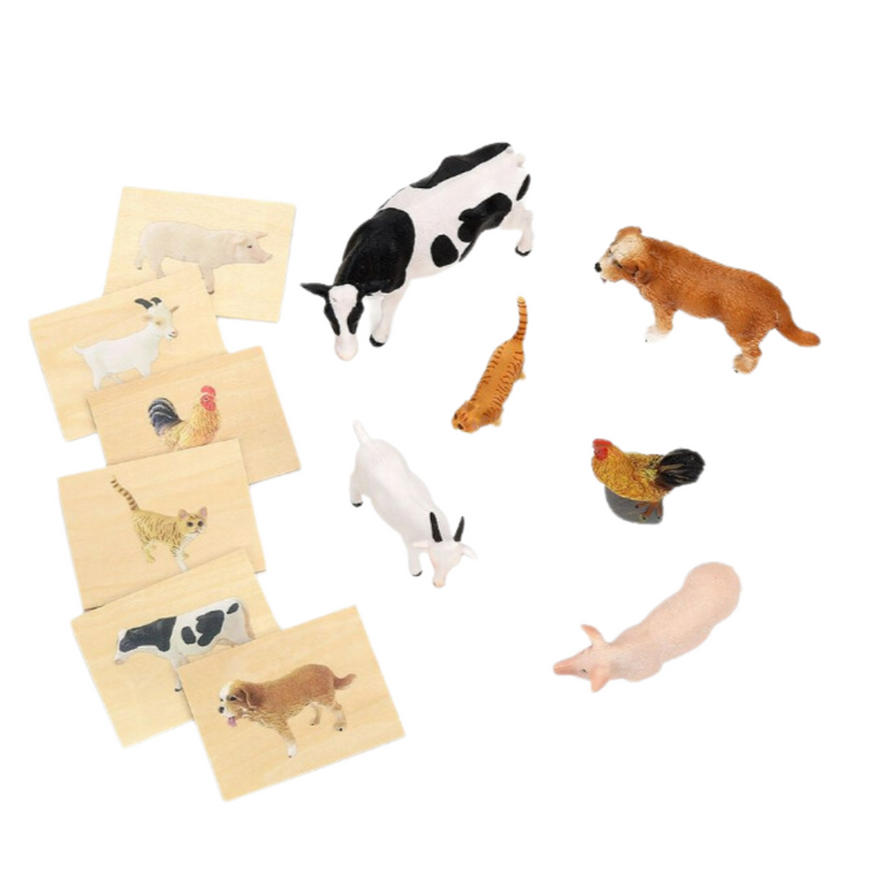 Animal Language Game Set