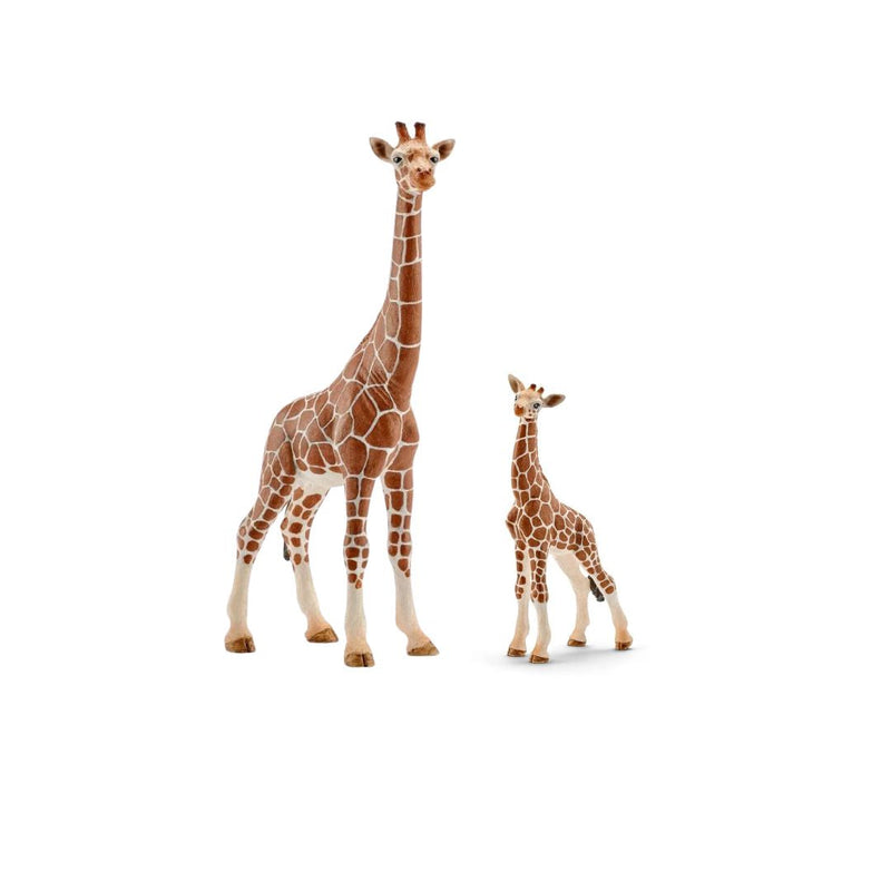 Safari - Giraffe Pair