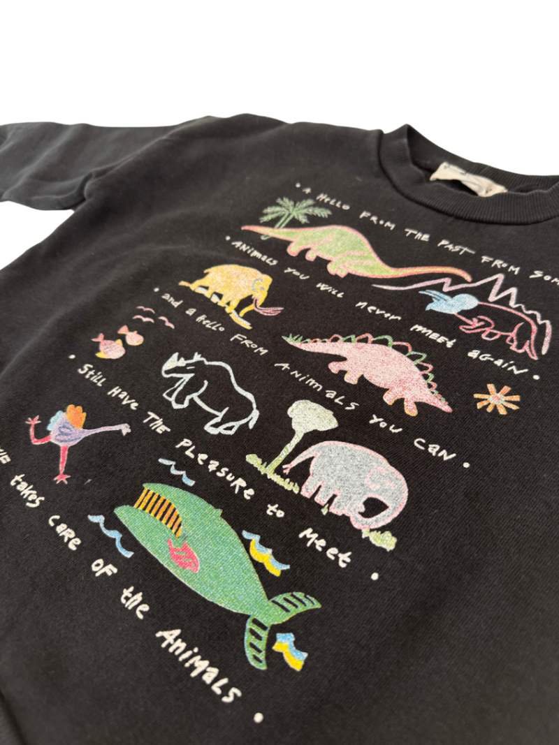 Sweater schwarz mit Dinos Gr.110 | Green Cotton