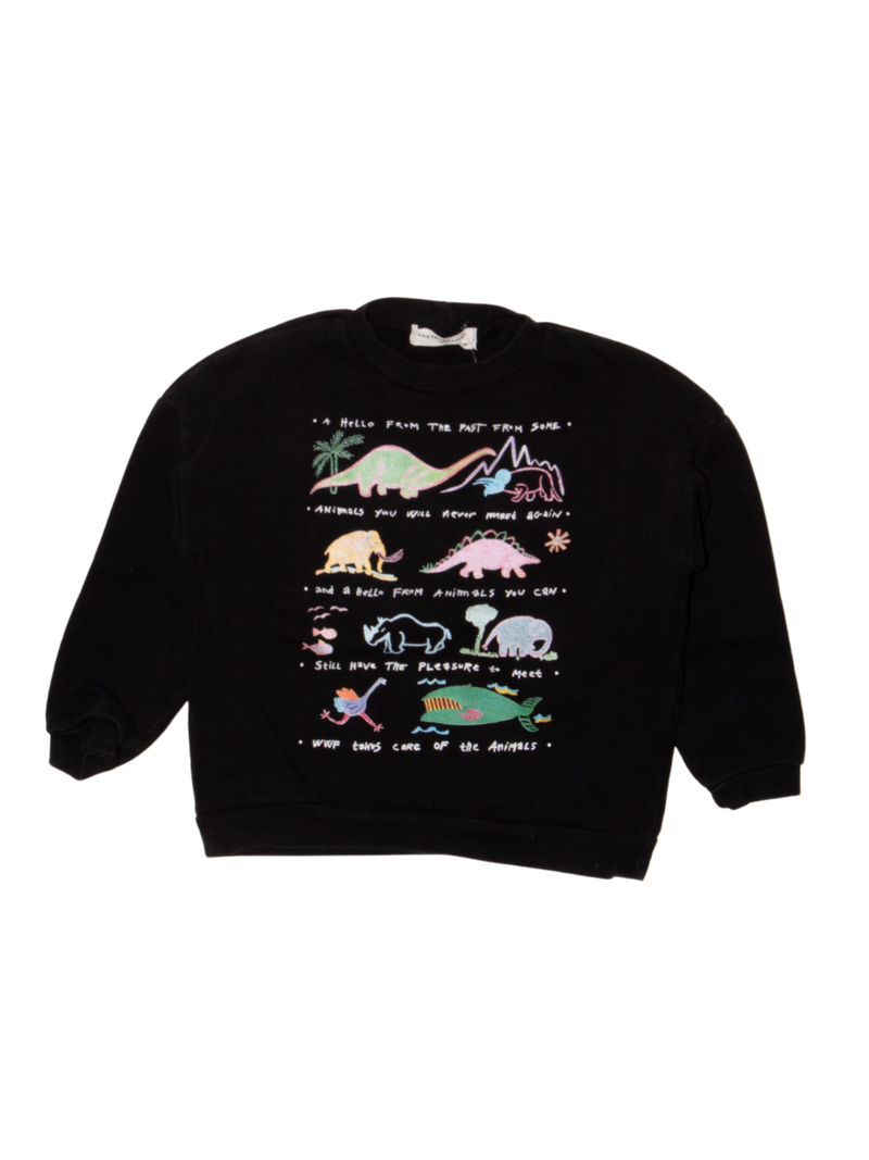 Sweater schwarz mit Dinos Gr.110 | Green Cotton