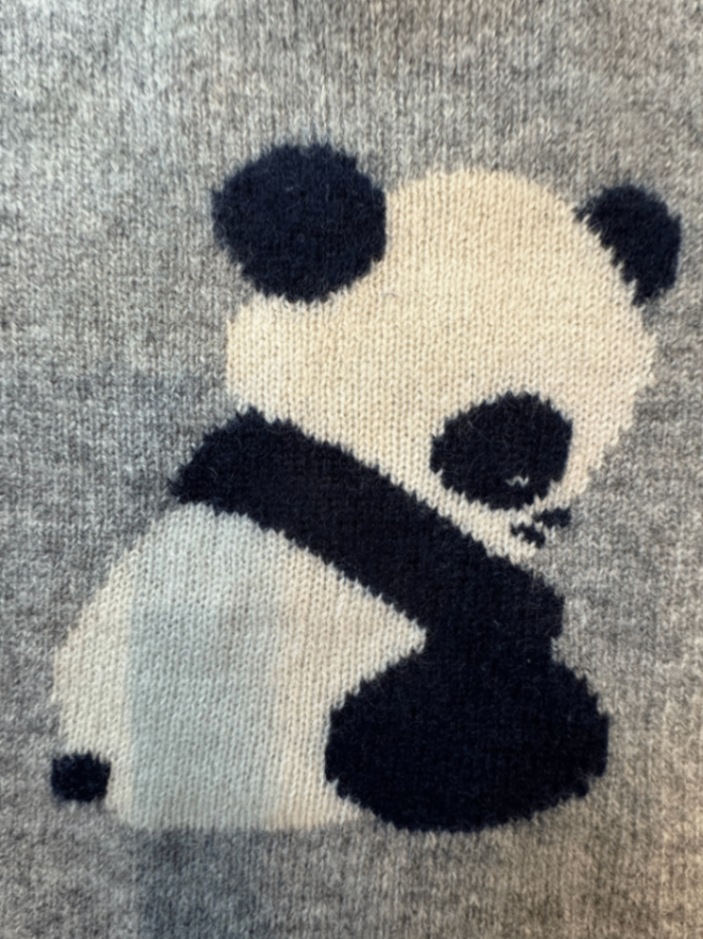 Pullover mit Panda-Motiv Gr.6m | Oscar et Valentine