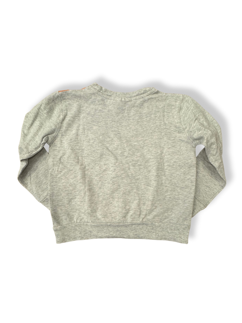 Sweater Vögel Mehrfarbig Gr.104 | Molo