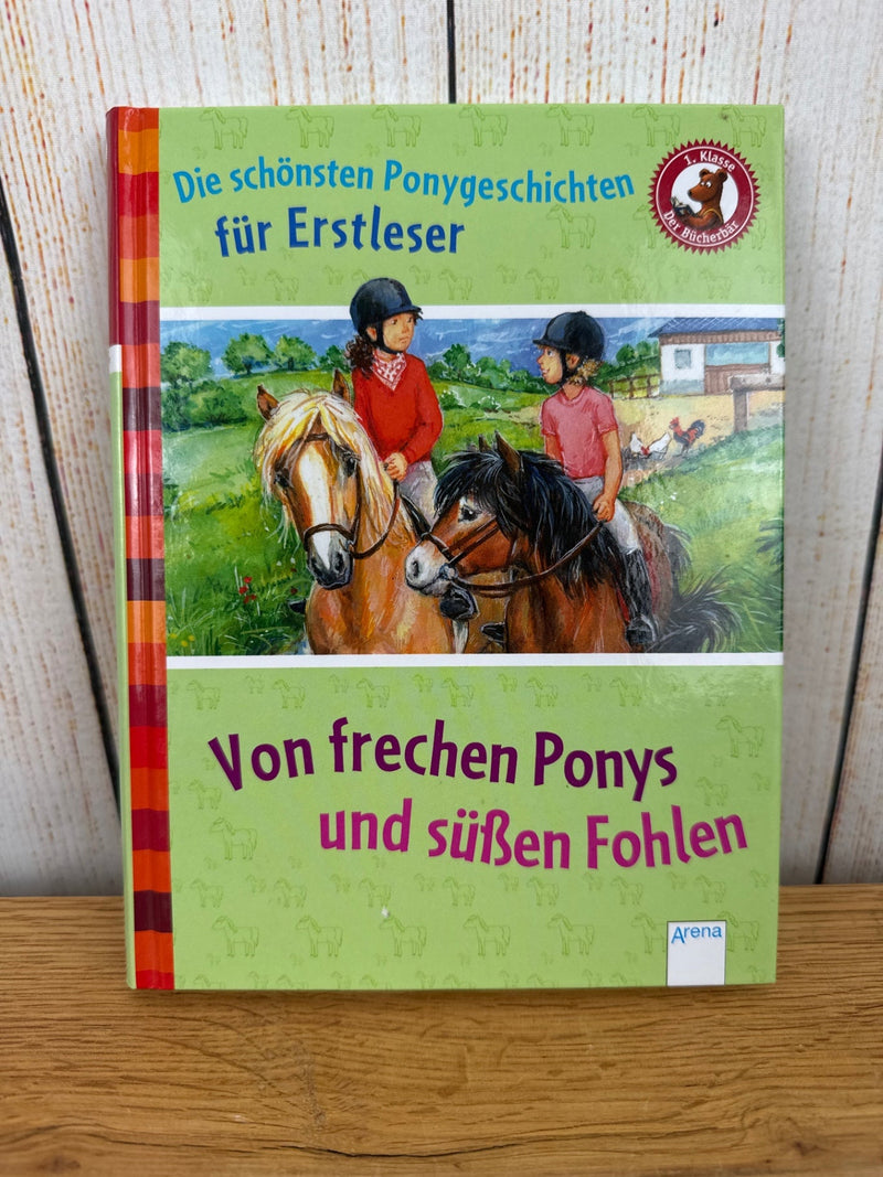 Arena: Die schönsten Ponygeschichten für Erstleser