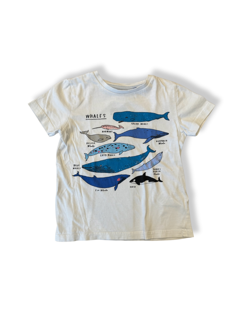 T-Shirt Kinder Weiß Gr.116 | Mini Boden