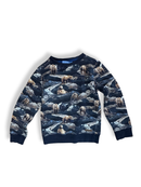 Sweater Jungen dunkelgrau Gr.110 | Someone