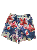 Badeshorts Bunt Gr.152 | Vilebrequin