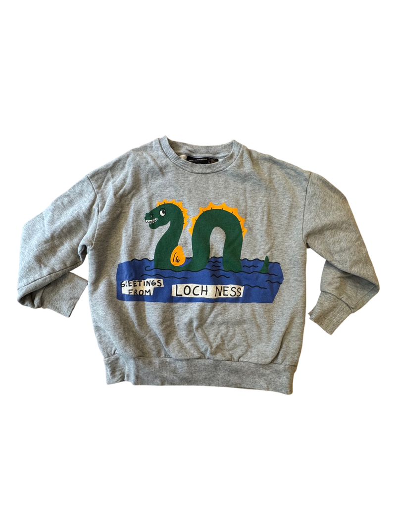 Sweatshirt Grau Gr.128 | mini rodini