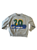 Sweatshirt Grau Gr.128 | mini rodini