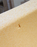 STAPELSTEIN Original Grow Light Orange