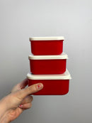 Snack Dosen • Prehistoric Land