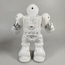 Diverse Set aus 2 interaktiven Roboterspielzeugen