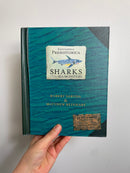 PopUp Buch • Sharks and other Sea Monsters • candlewick press