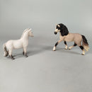 Schleich Bundle Pferde Reiterin Set von 5 Figuren & Zubehör