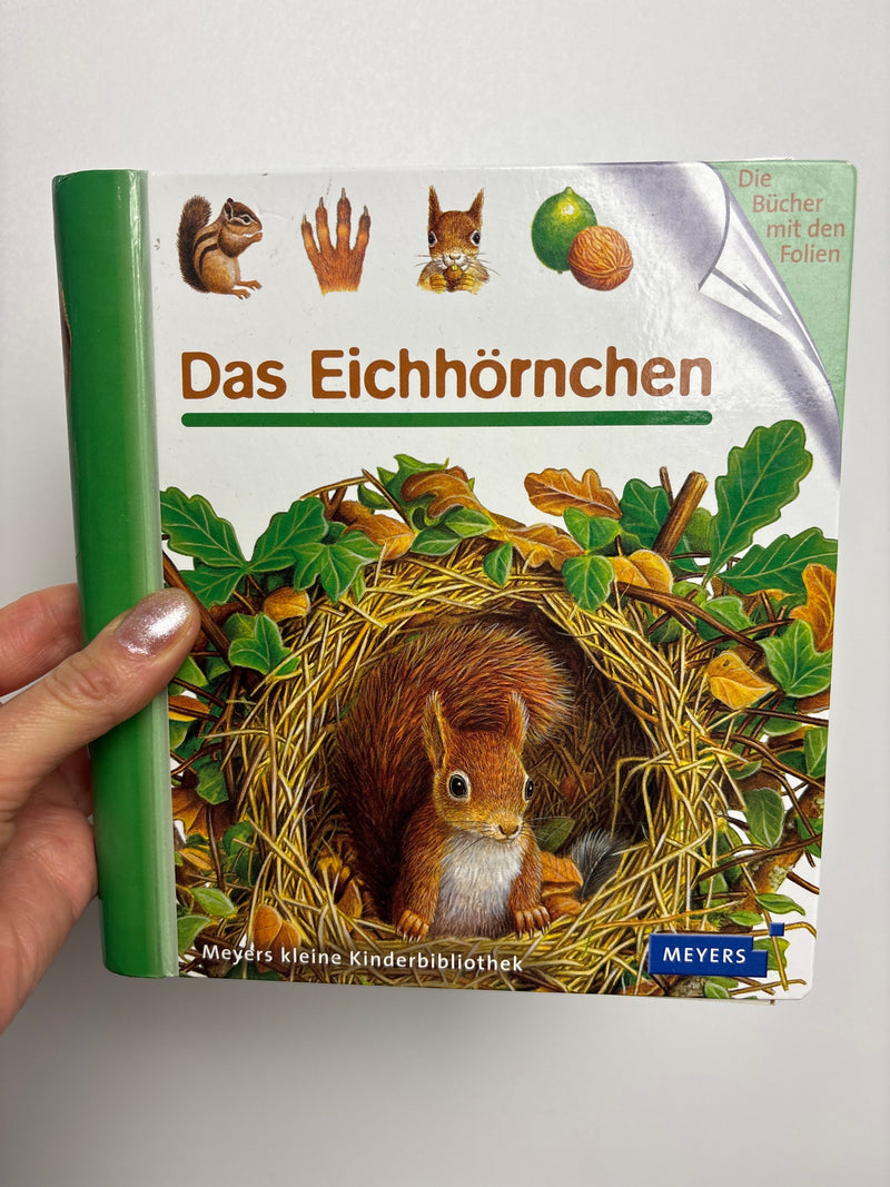 das Eichhörnchen