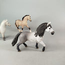 Schleich Bundle Pferde Reiterin Set von 5 Figuren & Zubehör