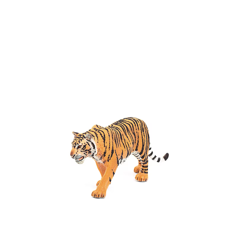 Safari - Tiger