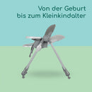 Bebeconfort Olea Babyhochstuhl