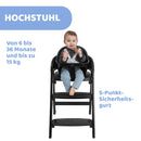 Chicco Crescendo Lite developmental high chair - Cairo Coal