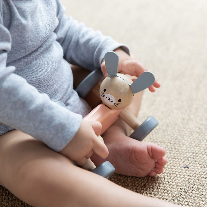 Bunny Racing Car