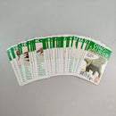 Die Spiegelburg T-Rex World Dinosaurier-Spielset 