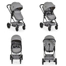Moni Kombikinderwagen 2 in 1 Giselle umbaubar Korb klappbar 5-Punkt-Gurt 22 kg, Farbe:grau
