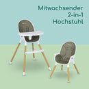 Bebeconfort Avista 2-in-1 Hochstuhl