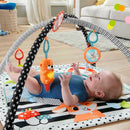 Fisher-Price Tierfreunde Kontrast-Spieldecke | Spielbogen Baby Spielzeug mit Musik und Licht | Krabbeldecke für Baby Spielebogen weich
