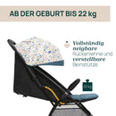 Chicco Glee Kinderwagen