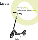 LIONELO Luca Klappbarer Roller für Kinder und Erwachsene bis 100kg Verstellbar und leicht nur 4kg Robuste Konstruktion 20cm Räder Stoßdämpfende