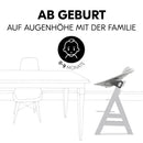 hauck Babywippe & Newborn Aufsatz Premium für Hochstuhl Alpha & Beta ab Geburt - 2in1 Babyaufsatz für Neugeborene mit 5-Punkt-Gurt, verstellbarer Rückenlehne & Baumwolle