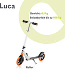 LIONELO Luca Klappbarer Roller für Kinder und Erwachsene bis 100kg Verstellbar und leicht nur 4kg Robuste Konstruktion 20cm Räder Stoßdämpfende ShockResist-Technologie Hinterradbremse Rutschfest