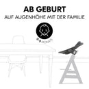 hauck Babywippe & Newborn Aufsatz Premium für Hochstuhl Alpha & Beta ab Geburt - 2in1 Babyaufsatz für Neugeborene mit 5-Punkt-Gurt, verstellbarer Rückenlehne & Baumwolle