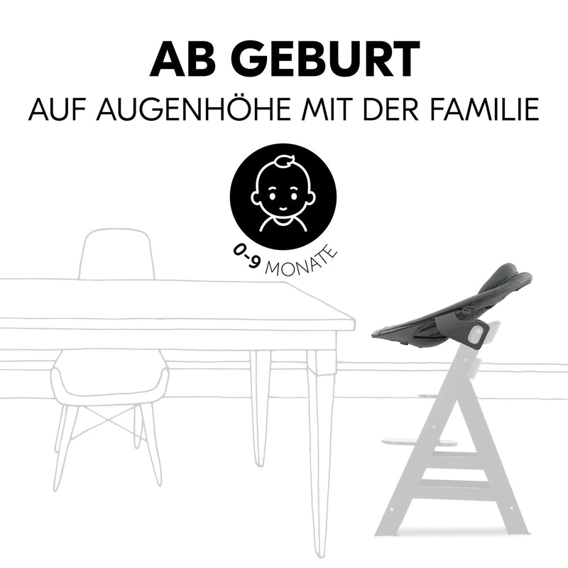 hauck Babywippe & Newborn Aufsatz Premium für Hochstuhl Alpha & Beta ab Geburt - 2in1 Babyaufsatz für Neugeborene mit 5-Punkt-Gurt, verstellbarer Rückenlehne & Baumwolle