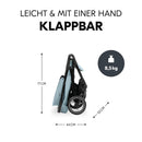 hauck Shop N Care, Dusty Blue - Kinderbuggy mit Liegefunktion ab Geburt bis 22 kg, Becherhalter und Snack Tablett, Klein Zusammenklappbar, UV Schutz 50+, XL Korb bis 3 kg